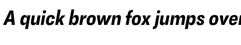 Preview of FONTSPRING DEMO - Narrow Bold Italic font