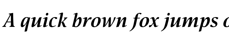Preview of FONTSPRING DEMO - Nat Flight Bold Italic font