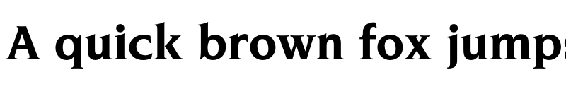 Preview of FONTSPRING DEMO - Navarro Bold font