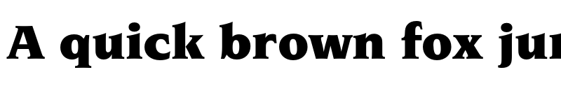 Preview of FONTSPRING DEMO - Navarro ExBd Regular font