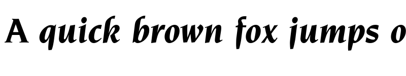 Preview of FONTSPRING DEMO - Navarro Pro Bold Italic font