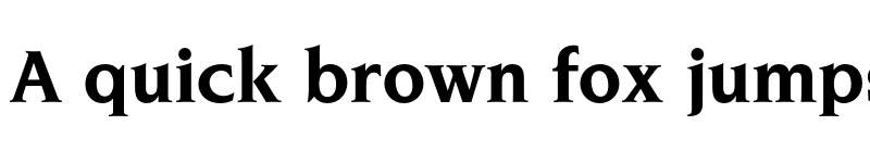 Preview of FONTSPRING DEMO - Navarro Pro Bold font