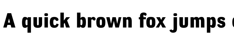 Preview of FONTSPRING DEMO - Negotiate Hv Regular font