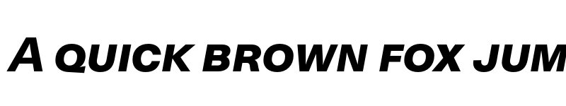 Preview of FONTSPRING DEMO - Neogrotesk SC Black It Regular font