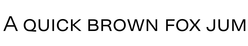 Preview of FONTSPRING DEMO - Neogrotesk SC Light Regular font