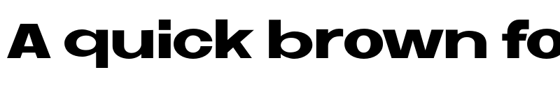 Preview of FONTSPRING DEMO - Neue Metana Black Regular font