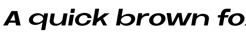 Preview of FONTSPRING DEMO - Neue Metana Bold Italic font