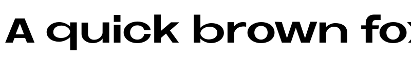 Preview of FONTSPRING DEMO - Neue Metana Bold font