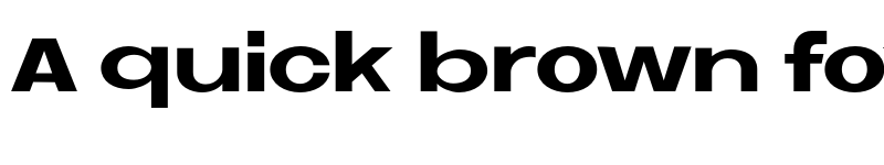 Preview of FONTSPRING DEMO - Neue Metana ExtBd Regular font