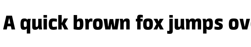 Preview of FONTSPRING DEMO - Neuron Angled Heavy Heavy font