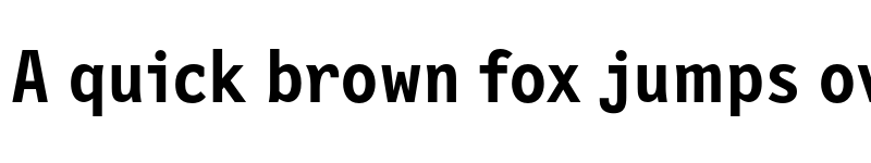 Preview of FONTSPRING DEMO - NewLetterGothic Bold font