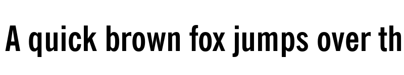 Preview of FONTSPRING DEMO - News Gothic BT Cond Bold Regular font