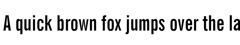 Preview of FONTSPRING DEMO - News Gothic BT Extra Cond Bold Regular font