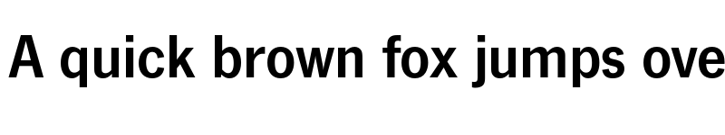 Preview of FONTSPRING DEMO - News Gothic FS Book Bold font