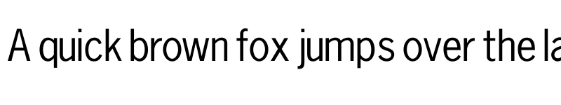 Preview of FONTSPRING DEMO - News Gothic Light Regular font