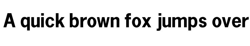 Preview of FONTSPRING DEMO - NewsGothic Bold font