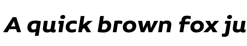 Preview of FONTSPRING DEMO - Niemeyer Bold It Regular font