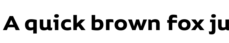 Preview of FONTSPRING DEMO - Niemeyer Bold Regular font