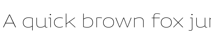 Preview of FONTSPRING DEMO - Niemeyer Thin Regular font