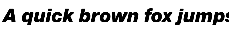 Preview of FONTSPRING DEMO - Nimbus Sans Round Black Italic font