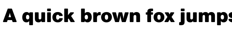 Preview of FONTSPRING DEMO - Nimbus Sans Round Black Regular font