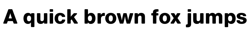 Preview of FONTSPRING DEMO - Nimbus Sans Round Heavy Regular font