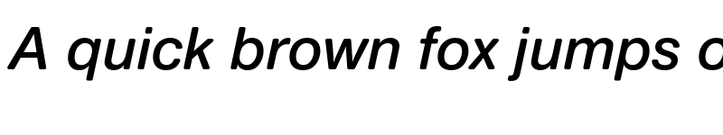 Preview of FONTSPRING DEMO - Nimbus Sans Round Semi Bold Italic font