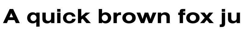 Preview of FONTSPRING DEMO - NimbusSanExt Bold font