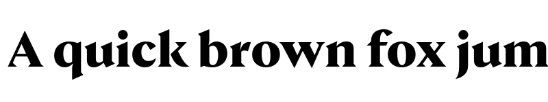 Preview of FONTSPRING DEMO - Nocturne Serif Bold Regular font