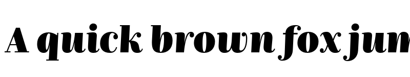 Preview of FONTSPRING DEMO - Nomada Didone Extrablack Italic font