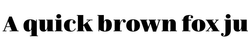 Preview of FONTSPRING DEMO - Nomada Didone Extrablack Regular font