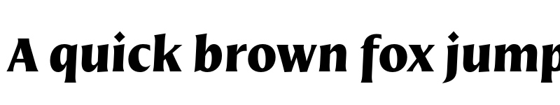 Preview of FONTSPRING DEMO - Nomada Incise Black Italic font