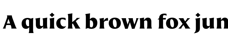 Preview of FONTSPRING DEMO - Nomada Incise Black Regular font