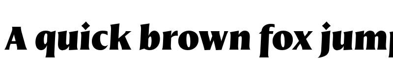 Preview of FONTSPRING DEMO - Nomada Incise Extrablack Italic font