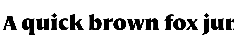 Preview of FONTSPRING DEMO - Nomada Incise Extrablack Regular font