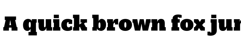 Preview of FONTSPRING DEMO - Nomada Slab Extrablack Regular font