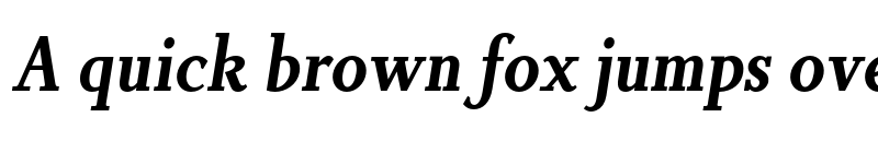 Preview of FONTSPRING DEMO - Non Solus Bold Italic font