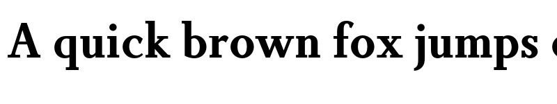 Preview of FONTSPRING DEMO - Non Solus Bold font