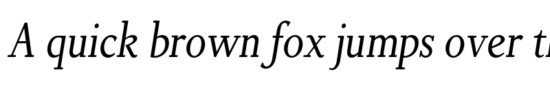 Preview of FONTSPRING DEMO - Non Solus Italic font