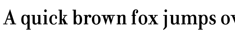 Preview of FONTSPRING DEMO - NoraPen Roman Condensed Roman Condensed font