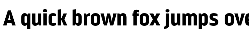 Preview of FONTSPRING DEMO - Nordikka Black font