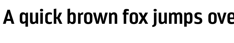 Preview of FONTSPRING DEMO - Nordikka Bold font