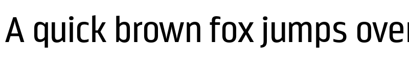 Preview of FONTSPRING DEMO - Nordikka Regular font