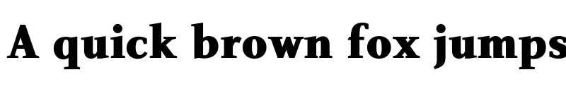 Preview of FONTSPRING DEMO - Nosta Bd Bold font