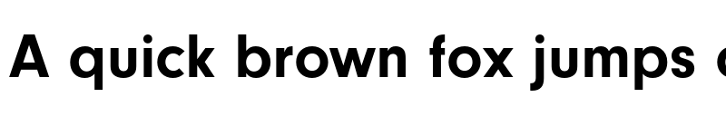 Preview of FONTSPRING DEMO - Noveo Sans Bold font