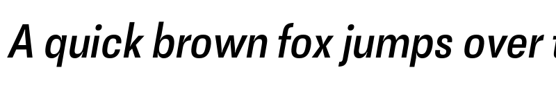 Preview of FONTSPRING DEMO - Nr Medium Italic font