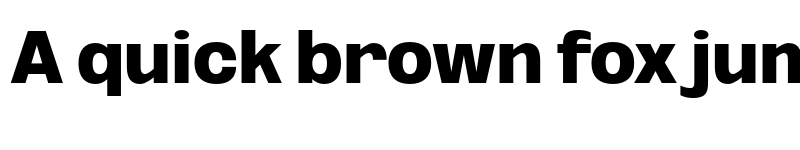 Preview of FONTSPRING DEMO - Oddlini Black Regular font