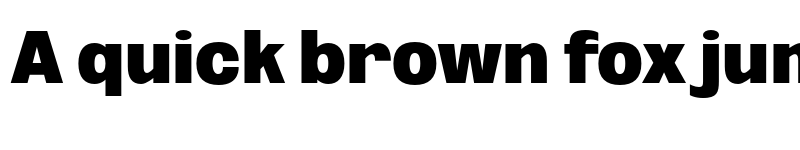 Preview of FONTSPRING DEMO - Oddlini Ex Black Semi Condensed Regular font