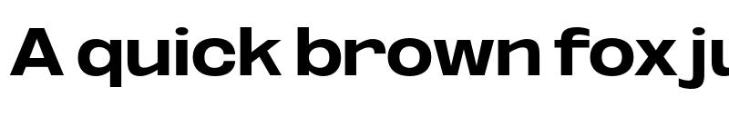 Preview of FONTSPRING DEMO - Oddlini Ex Bold Ex Expanded Regular font