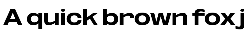 Preview of FONTSPRING DEMO - Oddlini Ex Bold Ultra Expanded Regular font